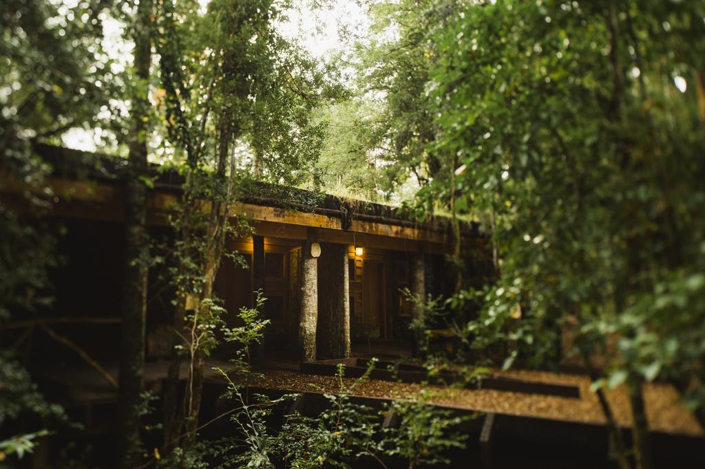 Huilo Huilo Nawelpi Lodge Puerto Fuy Ngoại thất bức ảnh